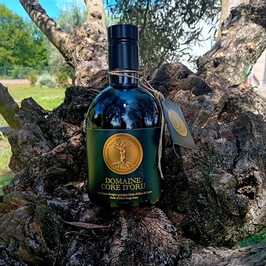 Domaine CORE d'ORU - Simon-Pierre FIESCHI 
